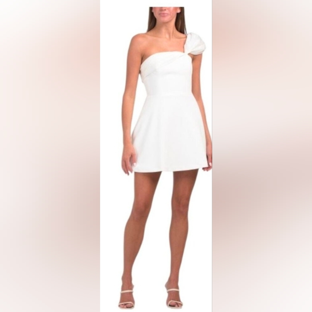 Dress the Population White Mini Dress